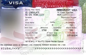 lt spouse family immigrant visa not stamp 4