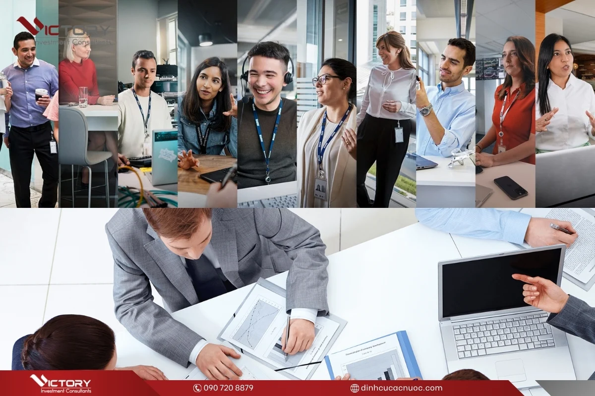 luat dau tu o bo dao nha luat dau tu o bo dao nha