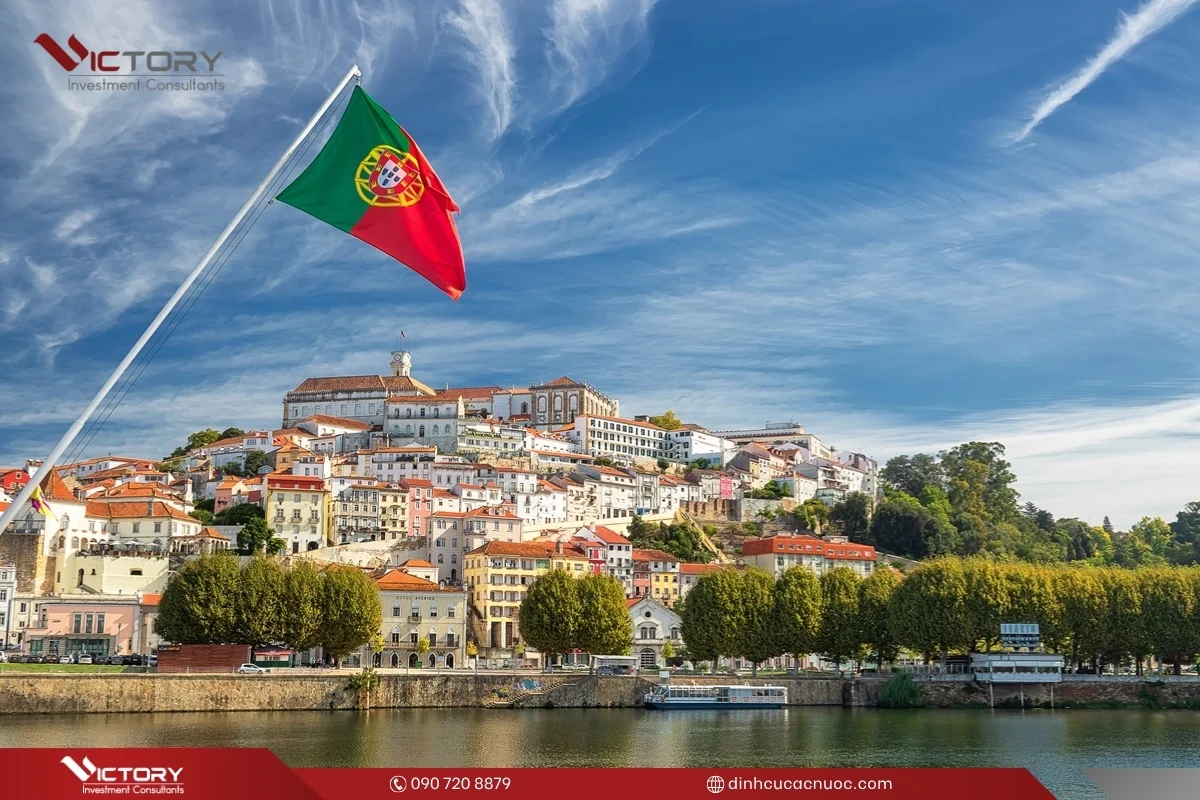 mua nha de lay thuong tru bo dao nha mua nha de lay thuong tru bo dao nha