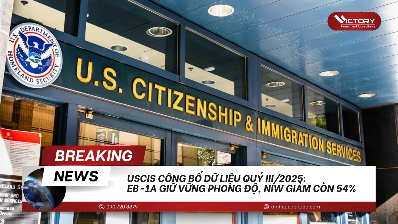 niw giam xuong con 54 phan tram q3 2025