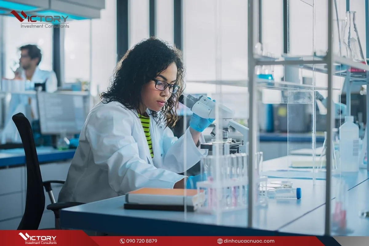 viec lam them tai ireland