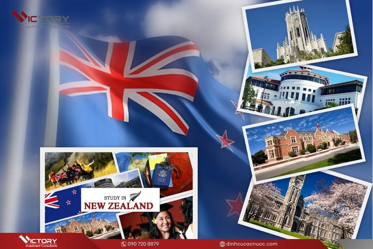 du hoc new zealand dinh cu