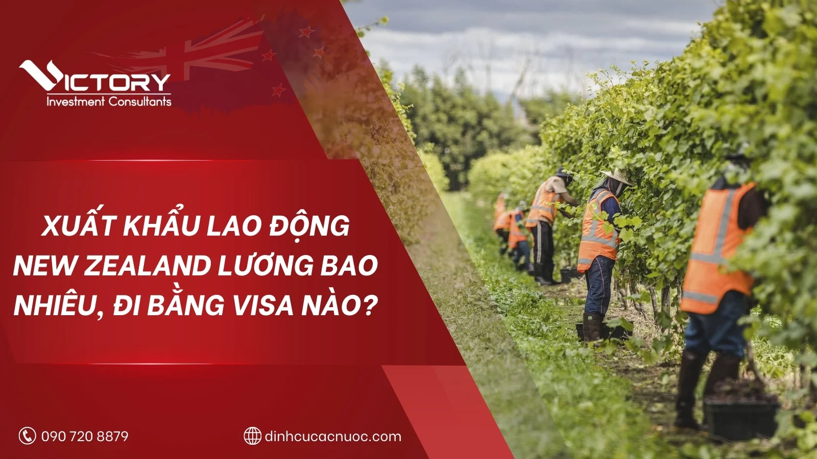 xuat khau lao dong new zealand