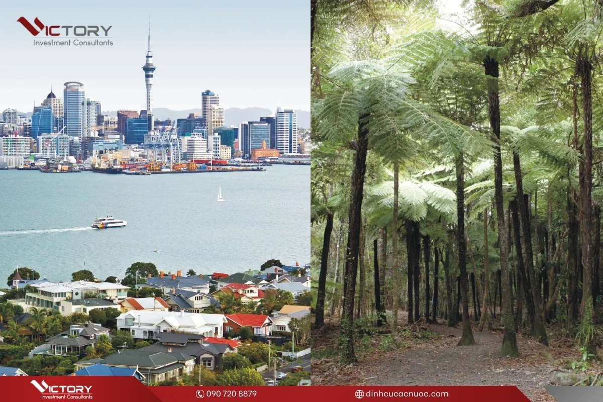 auckland o nuoc nao
