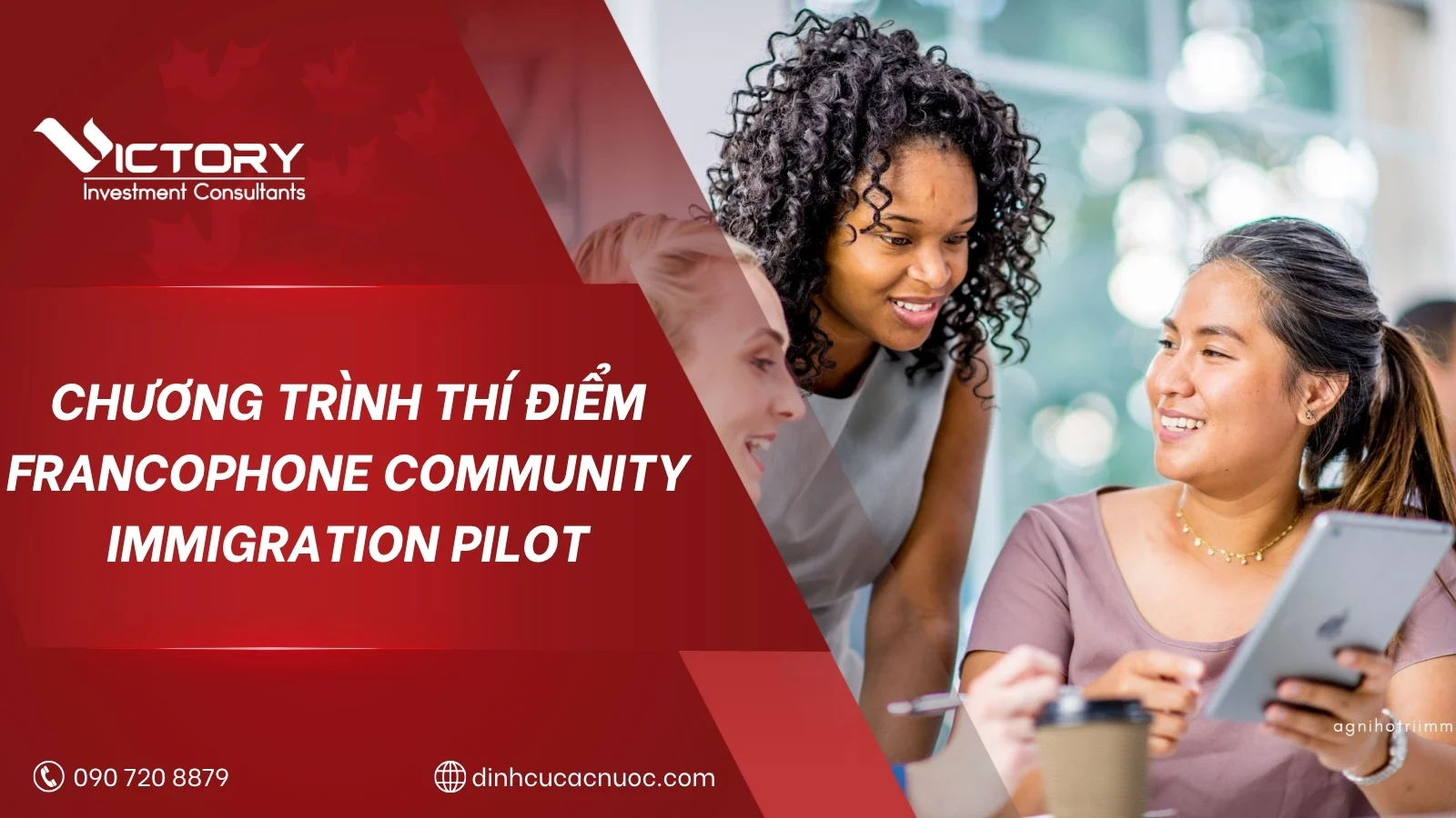 francophone community immigration pilot canada