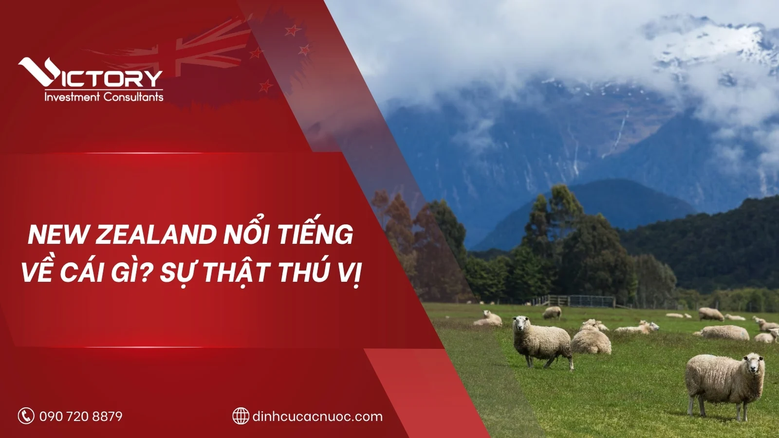 new zealand noi tieng ve cai gi