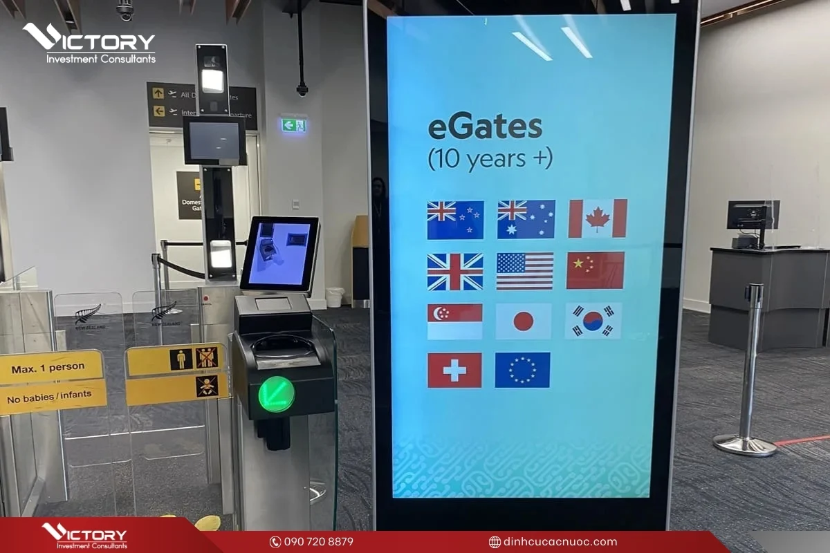 nhap canh o new zealand