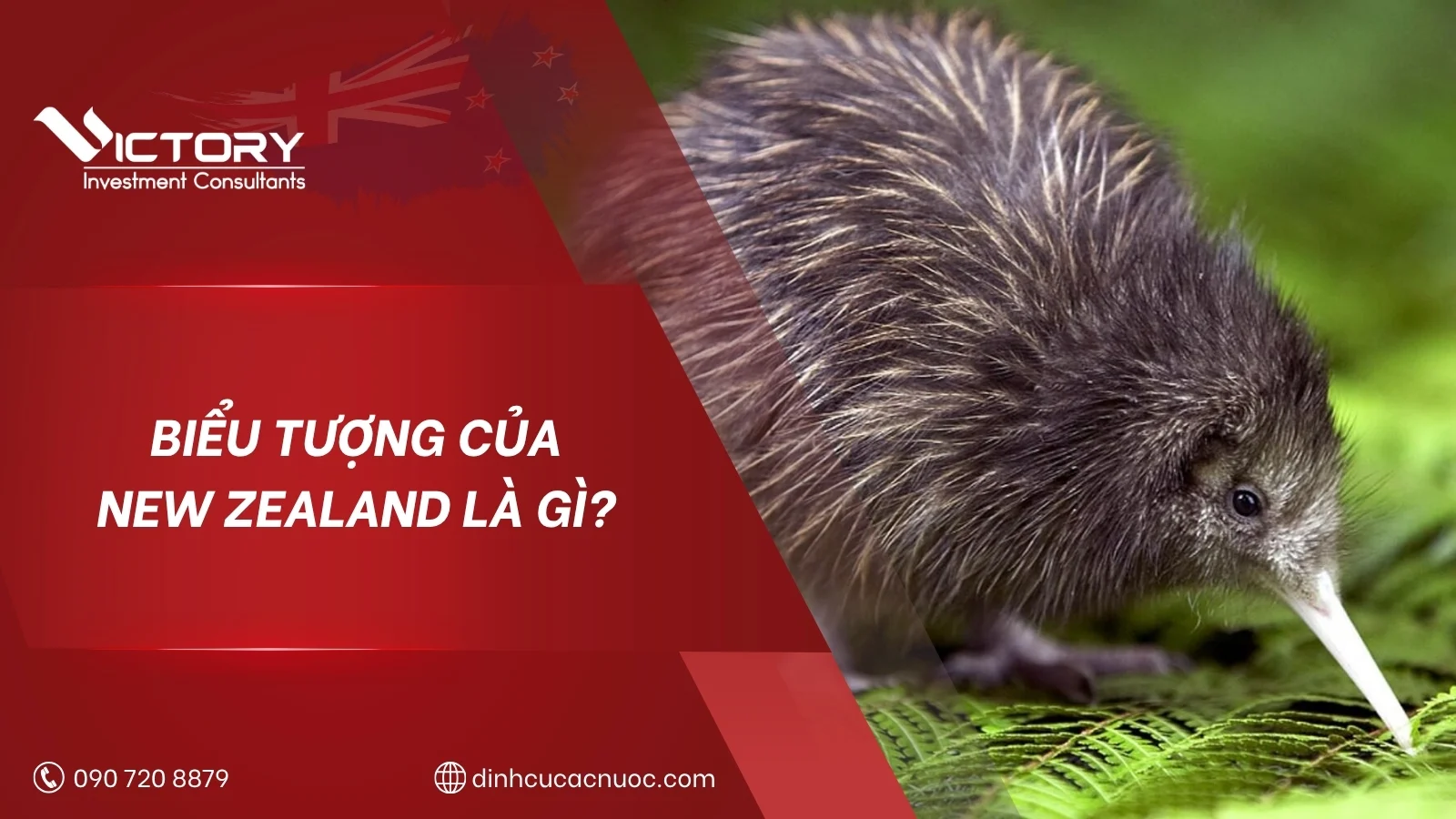 bieu tuong new zealand