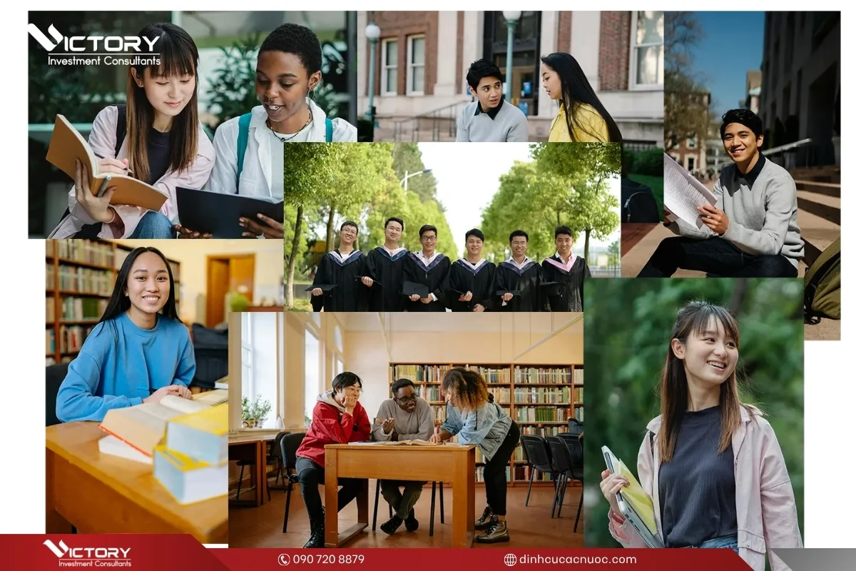 giao duc new zealand giao duc new zealand