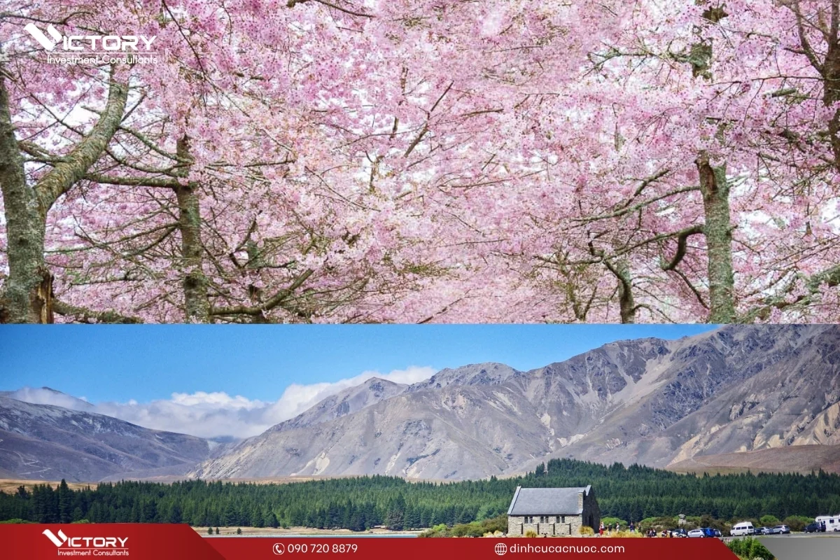 mua xuan new zealand thang may