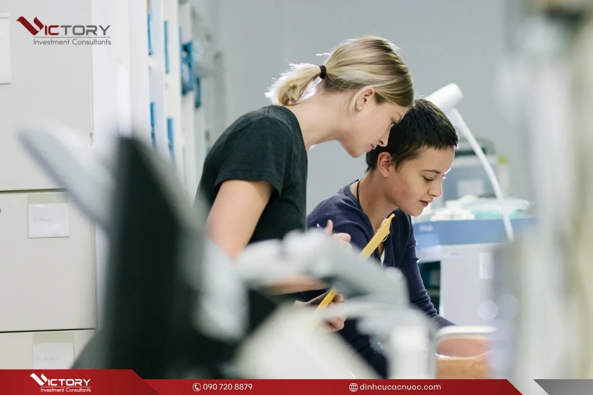 nguoi viet lam gi o new brunswick