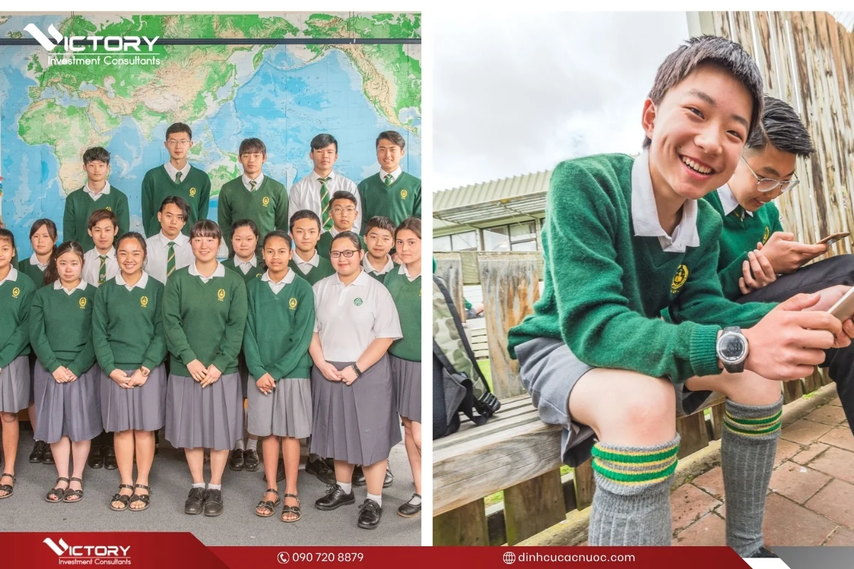 truong trung hoc new zealand truong trung hoc new zealand