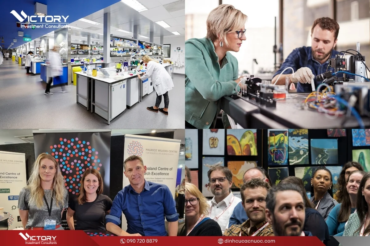 university of auckland top 100 the gioi university of auckland top 100 the gioi