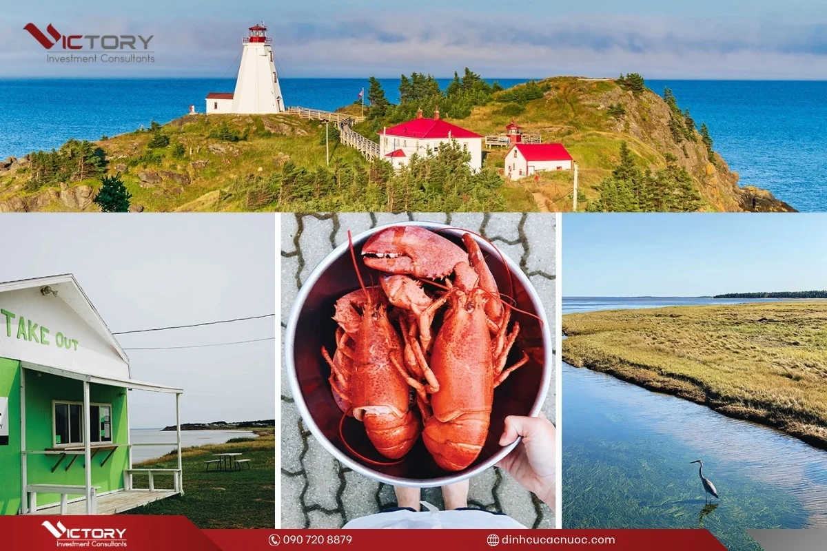 uu nhuoc diem song o new brunswick