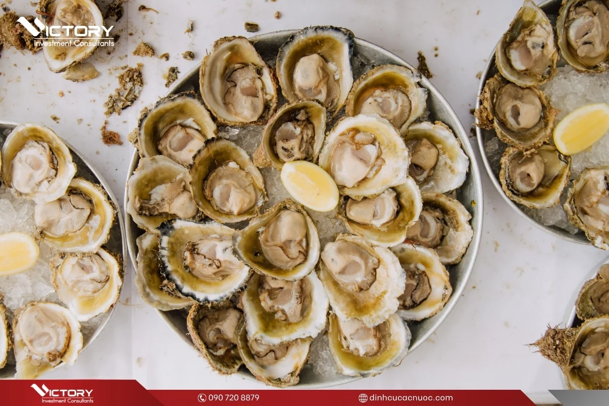 van hoa am thuc new zealand